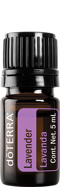 Difusor Koala con Lavanda 5 mL