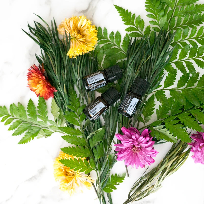 Manzanilla Romana – Aceite Esencial doTERRA para Niños (5 mL)