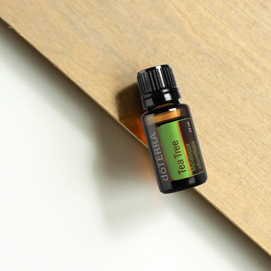 Tea Tree (Melaleuca) – Aceite Esencial (15 mL)