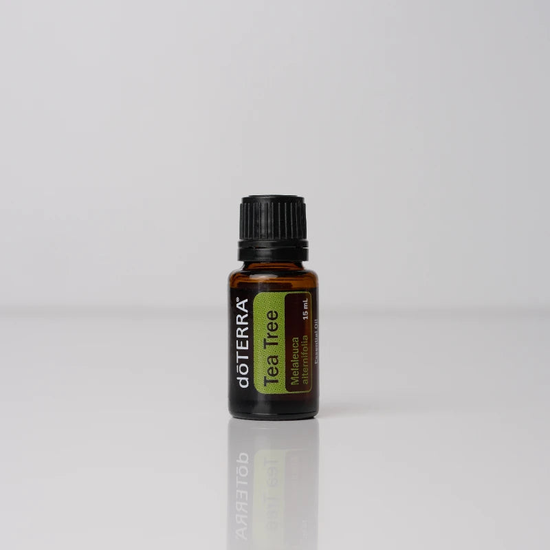 Tea Tree (Melaleuca) – Aceite Esencial (15 mL)