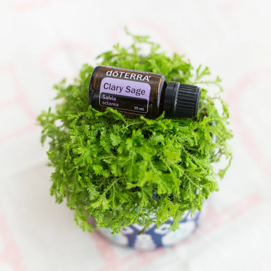 Salvia (Clary Sage) – Aceite Esencial Puro (15 mL)