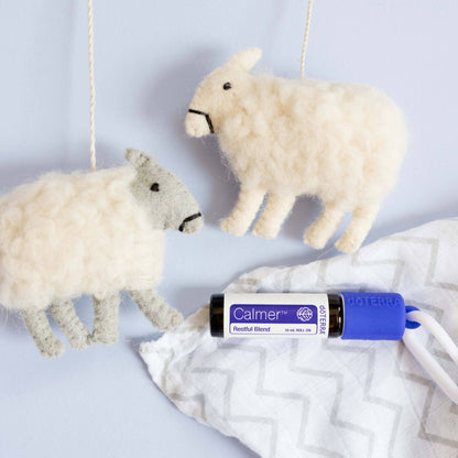 Calmer – Aceite Esencial para Dormir Niños (5 mL Roll-On)