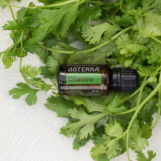 Cilantro – Aceite Esencial 100% Puro (15 mL)