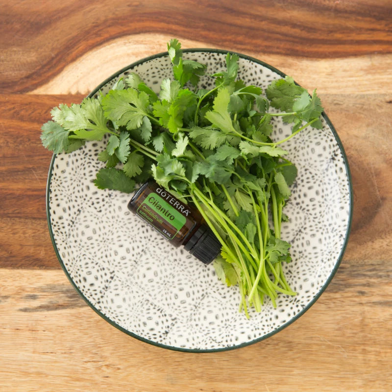 Cilantro – Aceite Esencial 100% Puro (15 mL)