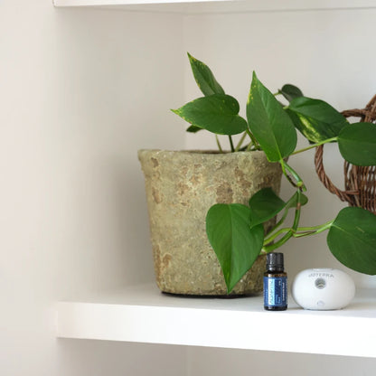 Adaptiv – Mezcla Calmante de doTERRA (15 mL)