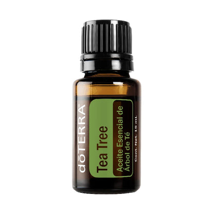 Tea Tree (Melaleuca) – Aceite Esencial (15 mL)