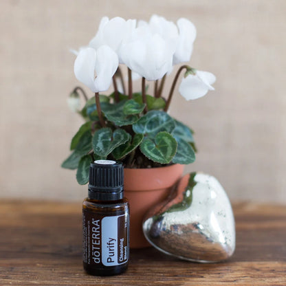 Purify – Mezcla Purificadora de Ambientes (15 mL)