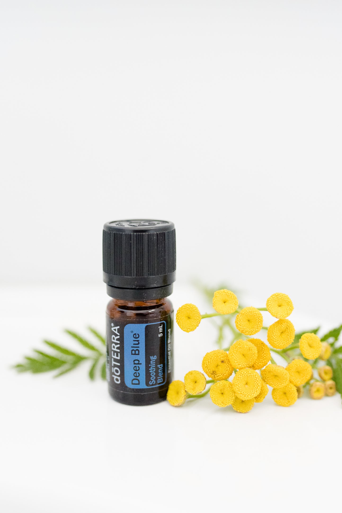 Deep Blue 5mL Soothing Blend por doTERRA
